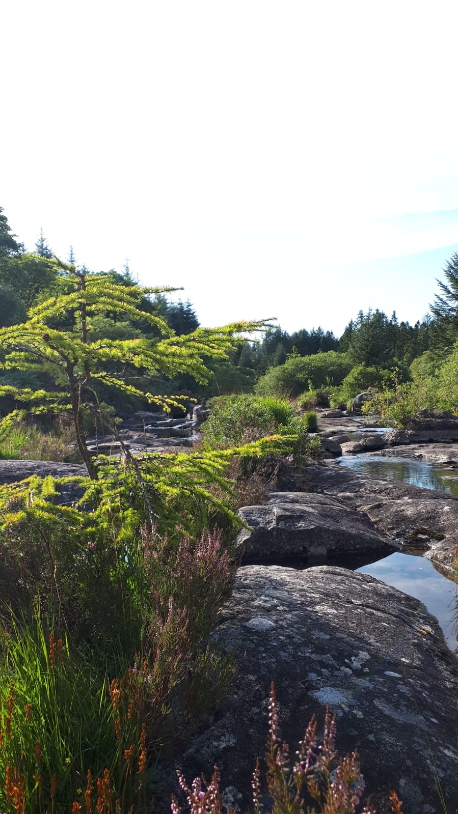 Scotland — photo 10