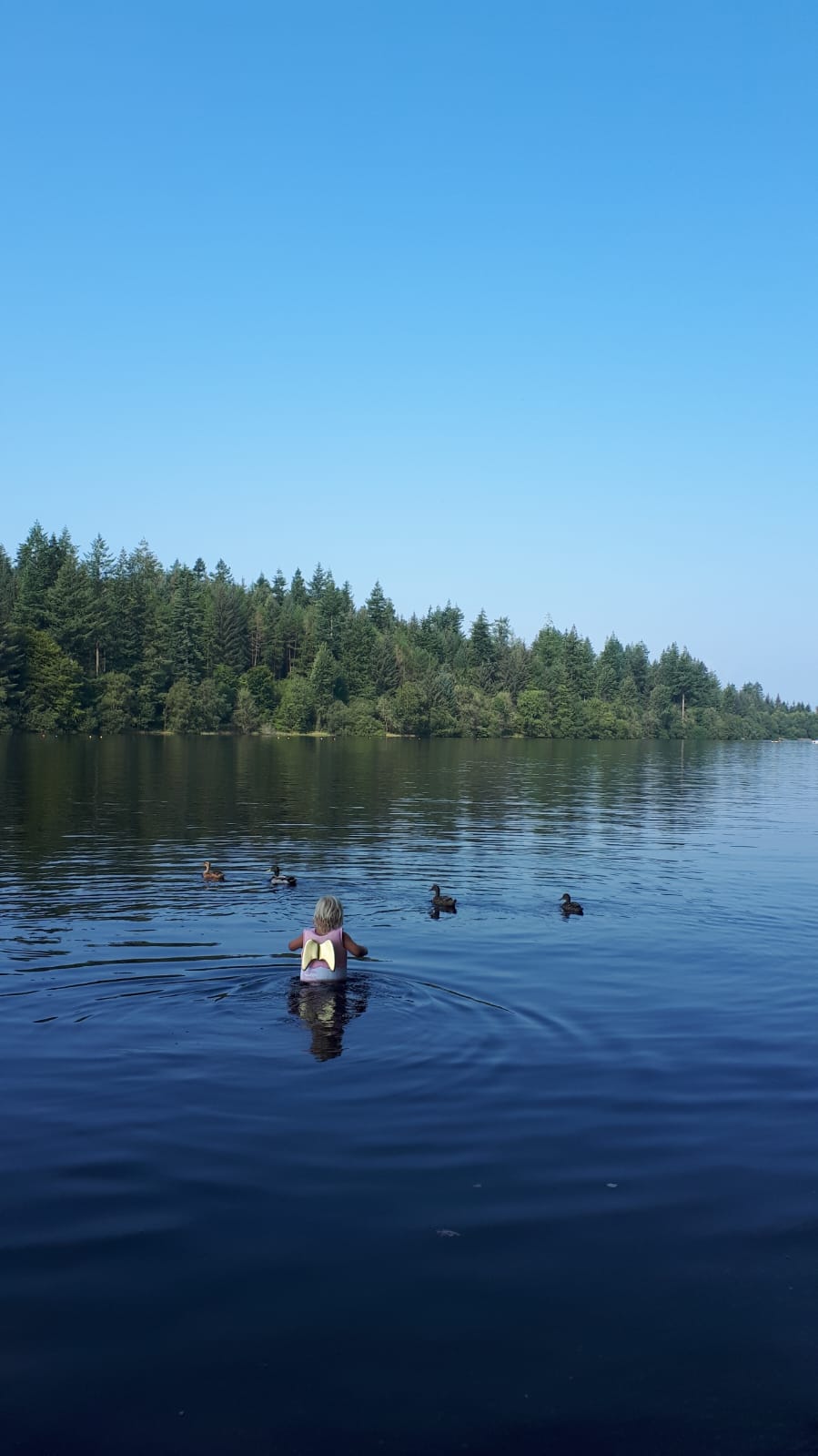 Scotland — photo 11