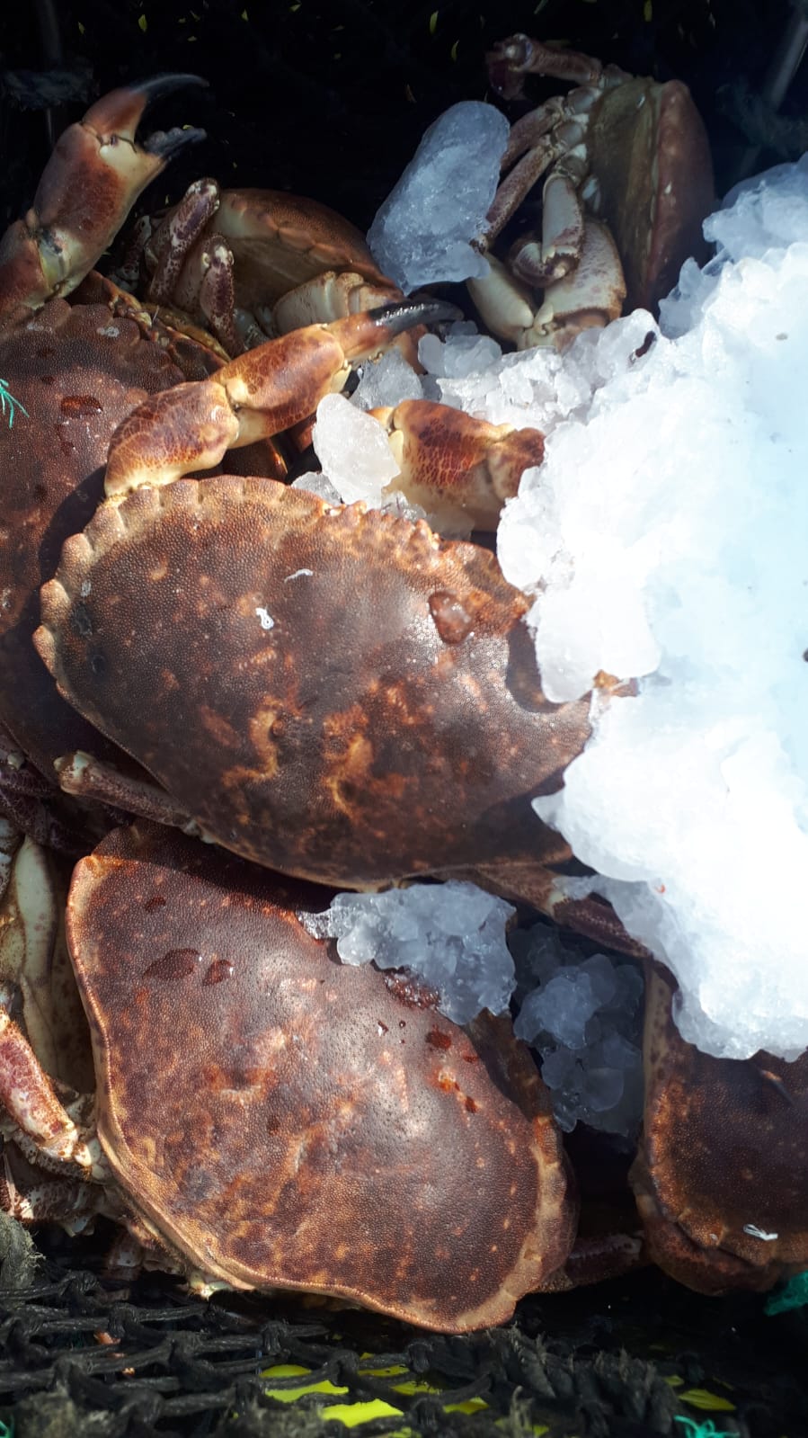 Scotland — photo 8