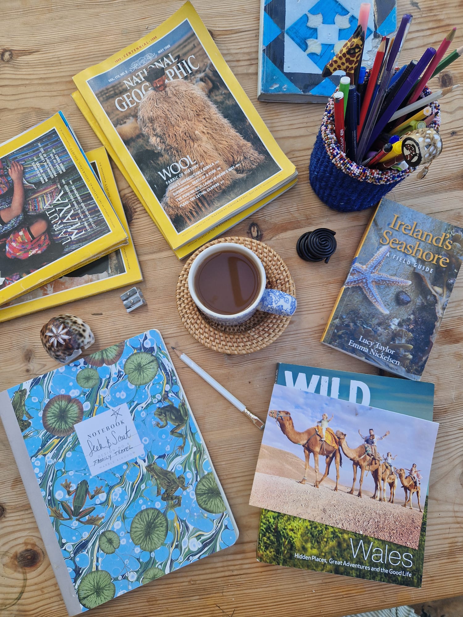 National Geographic magazines, Wild Wales book, and a Seek and Scout notebook on a wooden table — the kind of research that goes into every trip